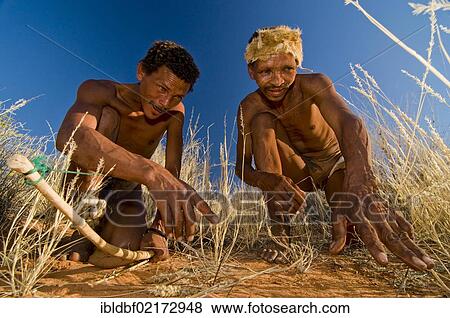 Bushmen, San, near Andriesvale, Kalahari Desert, Northern Cape, South Africa, Africa View Large Photo Image Stock Photo - Bushmen, San, near Andriesvale, Kalahari Desert, Northern Cape, South Africa, Africa. Fotosearch