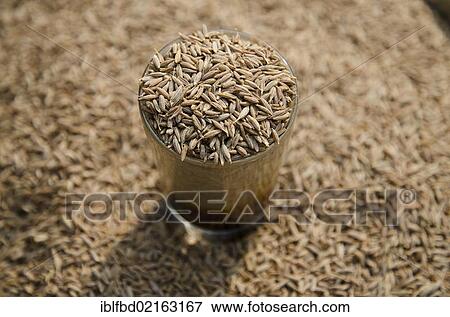 Stock Photo - Caraway, spice for sale on the market in the suburb of Paharganj, New Delhi, India, Asia. Fotosearch