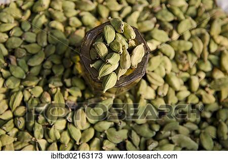 Cardamon, spice for sale on the market in the suburb of Paharganj, New Delhi, India, Asia View Large Photo Image Stock Image - Cardamon, spice for sale on the market in the suburb of Paharganj, New Delhi, India, Asia. Fotosearch