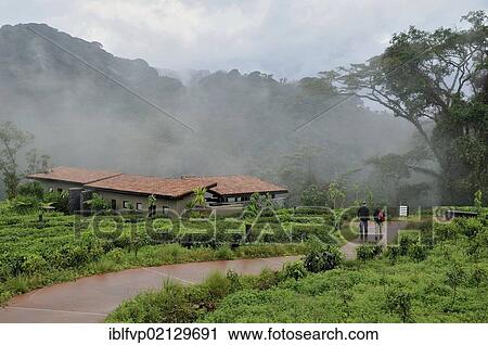 Stock Image - Chalets of the Nyungwe Forest Lodge, Nyungwe National Park, Rwanda, Africa. Fotosearch
