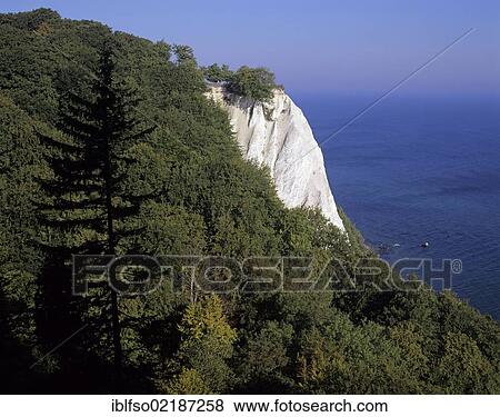 Chalk cliff, Koenigstuhl cliff and a beech forests (Fagus sylvatica) as seen from Victoriasicht viewpoint, a UNESCO World Heritage natural site, Jasmund National Park, Ruegen, Rugia, Mecklenburg-Western Pomerania, Germany, Europe View Large Photo Image Stock Photo - Chalk cliff, Koenigstuhl cliff and a beech forests (Fagus sylvatica) as seen from Victoriasicht viewpoint, a UNESCO World Heritage natural site, Jasmund National Park, Ruegen, Rugia, Mecklenburg-Western Pomerania, Germany, Europe. Fotosearch