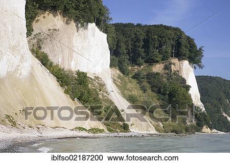 Stock Image - Chalk cliffs and a beech forest (Fagus sylvatica), UNESCO World Heritage site, Jasmund National Park, Ruegen, Rugia, Mecklenburg-Western Pomerania, Baltic Sea, Germany, Europe. Fotosearch