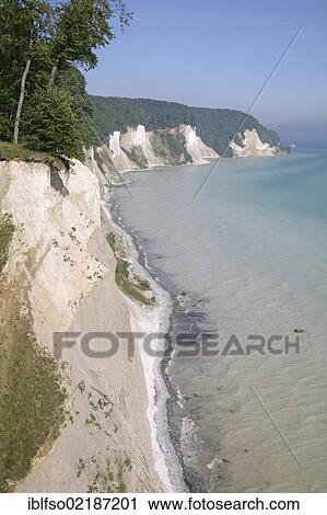 Chalk cliffs and a beech forest (Fagus sylvatica), UNESCO World Heritage site, Jasmund National Park, Ruegen, Rugia, Mecklenburg-Western Pomerania, Baltic Sea, Germany, Europe View Large Photo Image Stock Image - Chalk cliffs and a beech forest (Fagus sylvatica), UNESCO World Heritage site, Jasmund National Park, Ruegen, Rugia, Mecklenburg-Western Pomerania, Baltic Sea, Germany, Europe. Fotosearch
