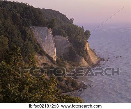 Chalk cliffs and a beech forest (Fagus sylvatica) at sunrise, UNESCO World Heritage natural site, Jasmund National Park, Ruegen, Rugia, Mecklenburg-Western Pomerania, Germany, Europe View Large Photo Image Stock Image - Chalk cliffs and a beech forest (Fagus sylvatica) at sunrise, UNESCO World Heritage natural site, Jasmund National Park, Ruegen, Rugia, Mecklenburg-Western Pomerania, Germany, Europe. Fotosearch