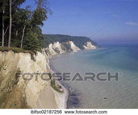 Chalk cliffs and a beech forest (Fagus sylvatica), a UNESCO World Heritage natural site, Jasmund National Park, Ruegen, Rugia, Mecklenburg-Western Pomerania, Germany, Europe View Large Photo Image Stock Photograph - Chalk cliffs and a beech forest (Fagus sylvatica), a UNESCO World Heritage natural site, Jasmund National Park, Ruegen, Rugia, Mecklenburg-Western Pomerania, Germany, Europe. Fotosearch