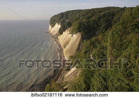 Chalk cliffs and Beech (Fagus sylvatica) forest, UNESCO World Heritage Site, Ernst-Moritz-Arndt Lookout, Jasmund National Park, Ruegen, Mecklenburg-Western Pomerania, Baltic Sea, Germany, Europe View Large Photo Image Stock Photograph - Chalk cliffs and Beech (Fagus sylvatica) forest, UNESCO World Heritage Site, Ernst-Moritz-Arndt Lookout, Jasmund National Park, Ruegen, Mecklenburg-Western Pomerania, Baltic Sea, Germany, Europe. Fotosearch