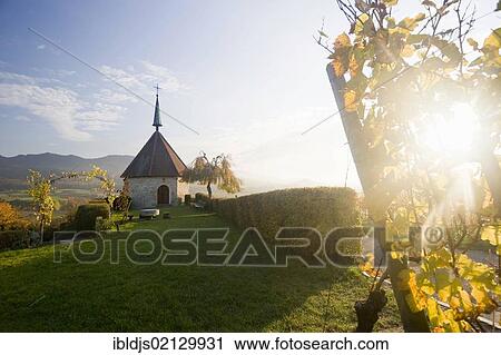 Chapel in the vineyards near Ehrenkirchen, south of Freiburg im Breisgau, Markgraeflerland, Baden-Wuerttemberg, Germany, Europe View Large Photo Image Stock Image - Chapel in the vineyards near Ehrenkirchen, south of Freiburg im Breisgau, Markgraeflerland, Baden-Wuerttemberg, Germany, Europe. Fotosearch