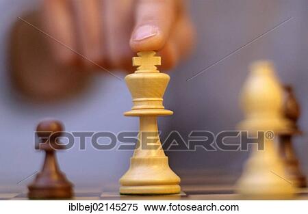 Chess game View Large Photo Image Stock Photography - Chess game. Fotosearch