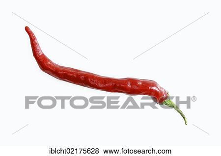 Stock Photo - Chili Pepper (Capsicum frutescens). Fotosearch