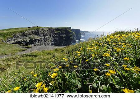 Cliffs of Moher, County Clare, Ireland, Europe View Large Photo Image Stock Photo - Cliffs of Moher, County Clare, Ireland, Europe. Fotosearch