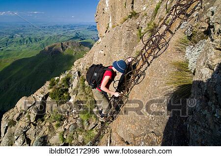 Climber on the Sentinel Hiking Trail, Drakensberge mountains, KwaZulu-Natal, South Africa, Africa View Large Photo Image Stock Photograph - Climber on the Sentinel Hiking Trail, Drakensberge mountains, KwaZulu-Natal, South Africa, Africa. Fotosearch