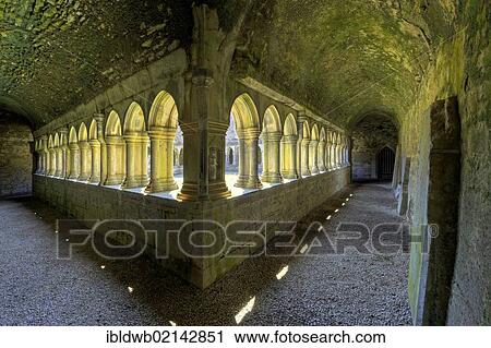 Cloister, ruins of the former Franciscan monastery, Askeaton, County Limerick, Ireland, Europe View Large Photo Image Stock Image - Cloister, ruins of the former Franciscan monastery, Askeaton, County Limerick, Ireland, Europe. Fotosearch