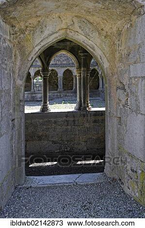 Stock Image - Cloister, ruins of the former Franciscan monastery, Askeaton, County Limerick, Ireland, Europe. Fotosearch
