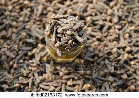 Stock Image - Clove, spice for sale on the market in the suburb of Paharganj, New Delhi, India, Asia. Fotosearch