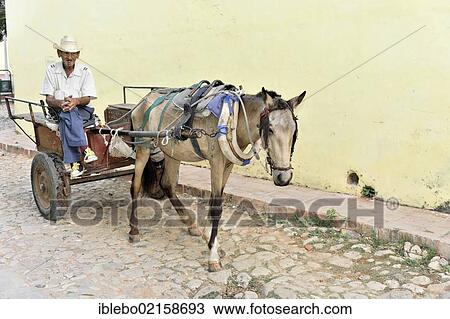 Stock Image - Cuban man with horse and cart, Trinidad, Cuba, Greater Antilles, Caribbean, Central America, America, North America. Fotosearch