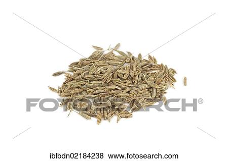Stock Photo - Cumin (Cuminum cyminum) seeds. Fotosearch