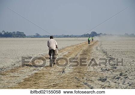 Cyclists on a difficult sandy way on the island of Majuli, Brahmaputra Valley, Assam, India, Asia View Large Photo Image Stock Photo - Cyclists on a difficult sandy way on the island of Majuli, Brahmaputra Valley, Assam, India, Asia. Fotosearch