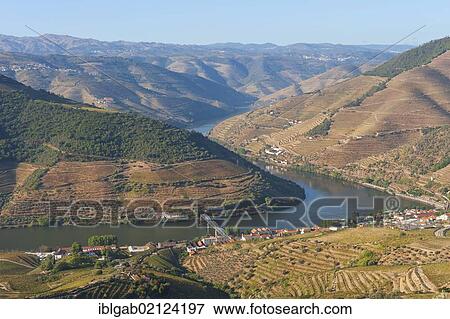 Douro river and Port Wine vineyards, Alto Douro, Unesco World Heritage site, Tras-os-Montes, Portugal, Europe View Large Photo Image Stock Photo - Douro river and Port Wine vineyards, Alto Douro, Unesco World Heritage site, Tras-os-Montes, Portugal, Europe. Fotosearch