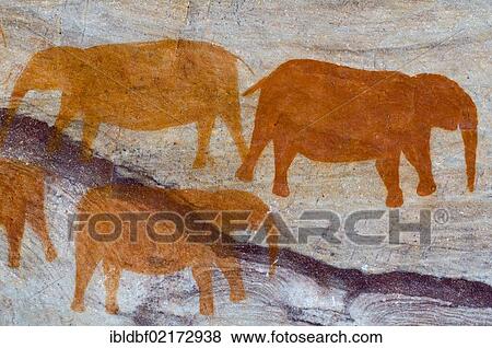 Drawings of elephants by the San, bushmen, Cedarberg, Western Cape, South Africa, Africa View Large Photo Image Stock Photo - Drawings of elephants by the San, bushmen, Cedarberg, Western Cape, South Africa, Africa. Fotosearch