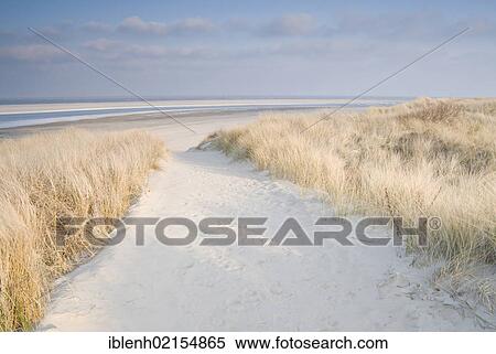 Dunes on Langeoog, Lower Saxony, Germany, Europe View Large Photo Image Stock Photography - Dunes on Langeoog, Lower Saxony, Germany, Europe. Fotosearch