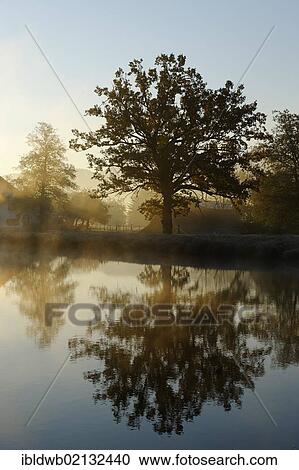 Early morning mood on the Riederer Weiher pond, Penzberg, Upper Bavaria, Bavaria, Germany, Europe View Large Photo Image Stock Image - Early morning mood on the Riederer Weiher pond, Penzberg, Upper Bavaria, Bavaria, Germany, Europe. Fotosearch