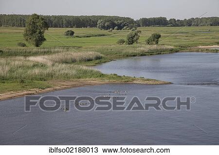 Elbe river at Wittenberg, Brandenburg, Germany, Europe View Large Photo Image Stock Image - Elbe river at Wittenberg, Brandenburg, Germany, Europe. Fotosearch