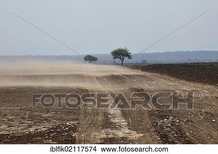Picture - Erosion, the wind disperses the nutrient-rich soils from the cleared areas, Gran Chaco, Salta province, Argentina, South America. Fotosearch