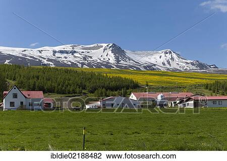 Farms and pastures in Northern Iceland, Iceland, Northern Europe, Europe View Large Photo Image Stock Image - Farms and pastures in Northern Iceland, Iceland, Northern Europe, Europe. Fotosearch