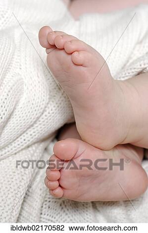 Feet of a baby, 6 months View Large Photo Image Stock Image - Feet of a baby, 6 months. Fotosearch