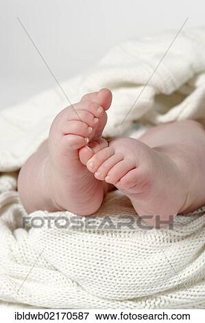 Stock Photo - Feet of a baby, 6 months. Fotosearch