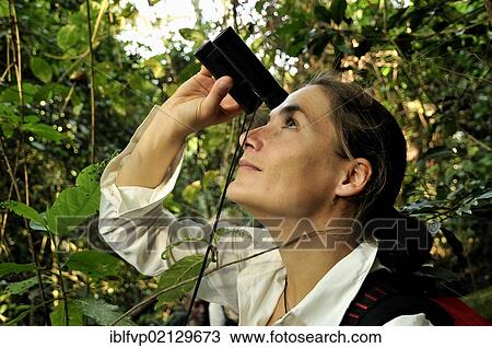 Female tourist observing monkeys in the Nyungwe Forest, Nyungwe National Park, Rwanda, Africa View Large Photo Image Stock Image - Female tourist observing monkeys in the Nyungwe Forest, Nyungwe National Park, Rwanda, Africa. Fotosearch
