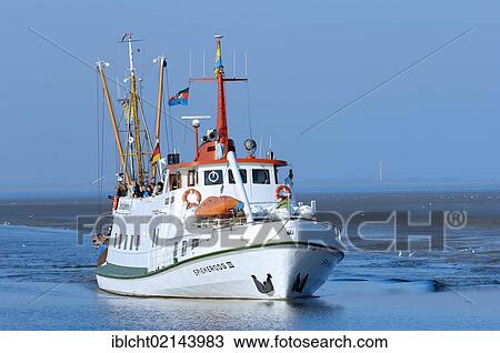 Ferry boat from Spiekeroog and a shrimp cutter, Neuharlingersiel, East Frisia, Lower Saxony, Germany, Europe View Large Photo Image Stock Image - Ferry boat from Spiekeroog and a shrimp cutter, Neuharlingersiel, East Frisia, Lower Saxony, Germany, Europe. Fotosearch