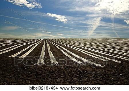 Field, Auvergne, France, Europe View Large Photo Image Picture - Field, Auvergne, France, Europe. Fotosearch
