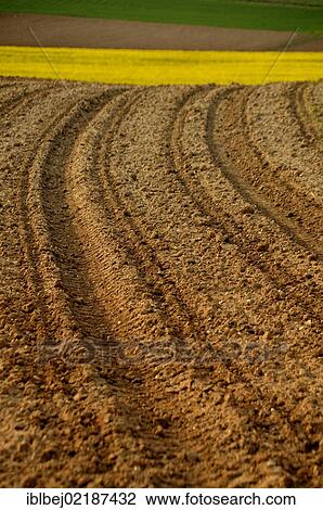 Stock Image - Field, Auvergne, France, Europe. Fotosearch