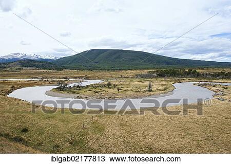 Fireland landscape, Patagonia, Argentina, South America View Large Photo Image Stock Image - Fireland landscape, Patagonia, Argentina, South America. Fotosearch