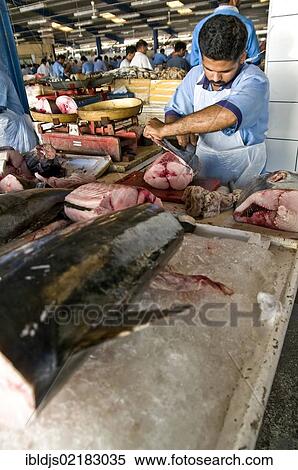 Fish market, Sharjah, United Arab Emirates, Middle East, Asia View Large Photo Image Stock Photography - Fish market, Sharjah, United Arab Emirates, Middle East, Asia. Fotosearch