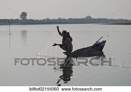 Fisherman catching fish on the river Brahmaputra, Brahmaputra Valley, Assam, India, Asia View Large Photo Image Stock Image - Fisherman catching fish on the river Brahmaputra, Brahmaputra Valley, Assam, India, Asia. Fotosearch