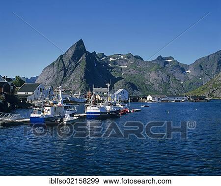 Fishing boats in the harbour of Hamnøya, Moskenesøya Island, Lofoten Islands, Norway, Scandinavia, Europe View Large Photo Image Stock Photo - Fishing boats in the harbour of Hamnøya, Moskenesøya Island, Lofoten Islands, Norway, Scandinavia, Europe. Fotosearch