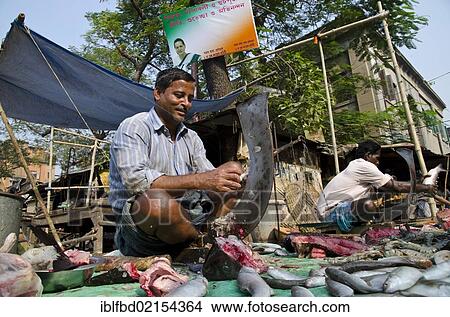 Fishmonger in the streets of Kolkata, West Bengal, India, Asia View Large Photo Image Picture - Fishmonger in the streets of Kolkata, West Bengal, India, Asia. Fotosearch
