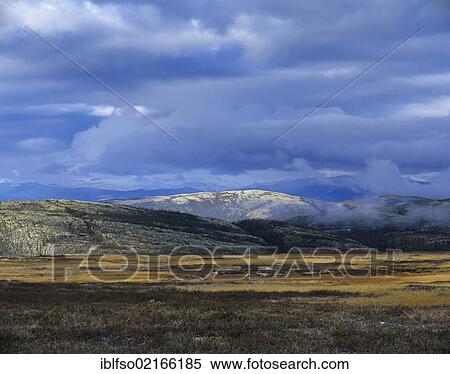 Fjell landscape and clouds in the early morning, near Mysusæter, Rondane National Park, Norway, Scandinavia, Europe View Large Photo Image Stock Photography - Fjell landscape and clouds in the early morning, near Mysusæter, Rondane National Park, Norway, Scandinavia, Europe. Fotosearch
