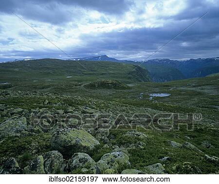 Fjell landscape of the mountain pass road of Aurlandsvangen after Lærdalsøyri, Sogn og Fjordane, Norway, Scandinavia, Europe View Large Photo Image Stock Photo - Fjell landscape of the mountain pass road of Aurlandsvangen after Lærdalsøyri, Sogn og Fjordane, Norway, Scandinavia, Europe. Fotosearch