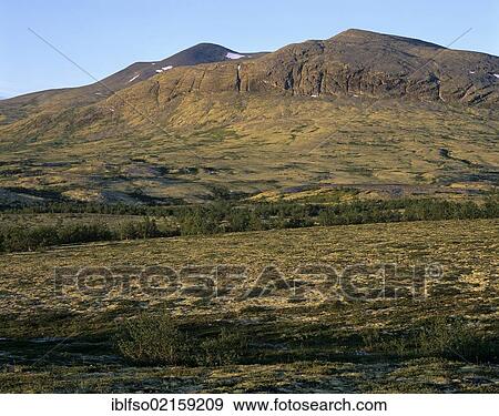 Fjell landscape, Rondane National Park, Norway, Scandinavia, Europe View Large Photo Image Stock Photo - Fjell landscape, Rondane National Park, Norway, Scandinavia, Europe. Fotosearch