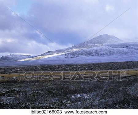 Fjell landscape with the first snow, near Mysusæter, Rondane National Park, Norway, Scandinavia, Europe View Large Photo Image Stock Image - Fjell landscape with the first snow, near Mysusæter, Rondane National Park, Norway, Scandinavia, Europe. Fotosearch