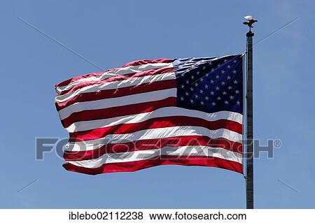 Flag of the United States of America View Large Photo Image Stock Photo - Flag of the United States of America. Fotosearch