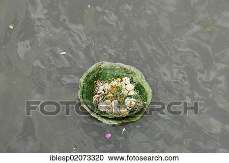 Floating bowl of offerings, Pashupatinath, Bagmati River, Kathmandu, Nepal, Asia View Large Photo Image Stock Image - Floating bowl of offerings, Pashupatinath, Bagmati River, Kathmandu, Nepal, Asia. Fotosearch