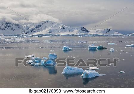 Floating ice, Bahia Paraiso, Paradise Bay, Antarctic Peninsula, Antarctica View Large Photo Image Stock Image - Floating ice, Bahia Paraiso, Paradise Bay, Antarctic Peninsula, Antarctica. Fotosearch