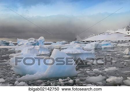 Floating ice, Cuverville Island, Antarctic Peninsula View Large Photo Image Stock Image - Floating ice, Cuverville Island, Antarctic Peninsula. Fotosearch