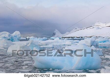 Floating ice, Cuverville Island, Antarctic Peninsula View Large Photo Image Stock Image - Floating ice, Cuverville Island, Antarctic Peninsula. Fotosearch