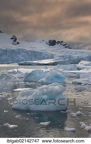 Floating ice, Cuverville Island, Antarctic Peninsula View Large Photo Image Stock Photo - Floating ice, Cuverville Island, Antarctic Peninsula. Fotosearch
