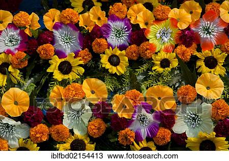 Flower arrangements at the flower market of Kolkata, West Bengal, India, Asia View Large Photo Image Stock Image - Flower arrangements at the flower market of Kolkata, West Bengal, India, Asia. Fotosearch